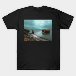 Light on Pokeshaw Rock, New Brunswick Canada V2 T-Shirt